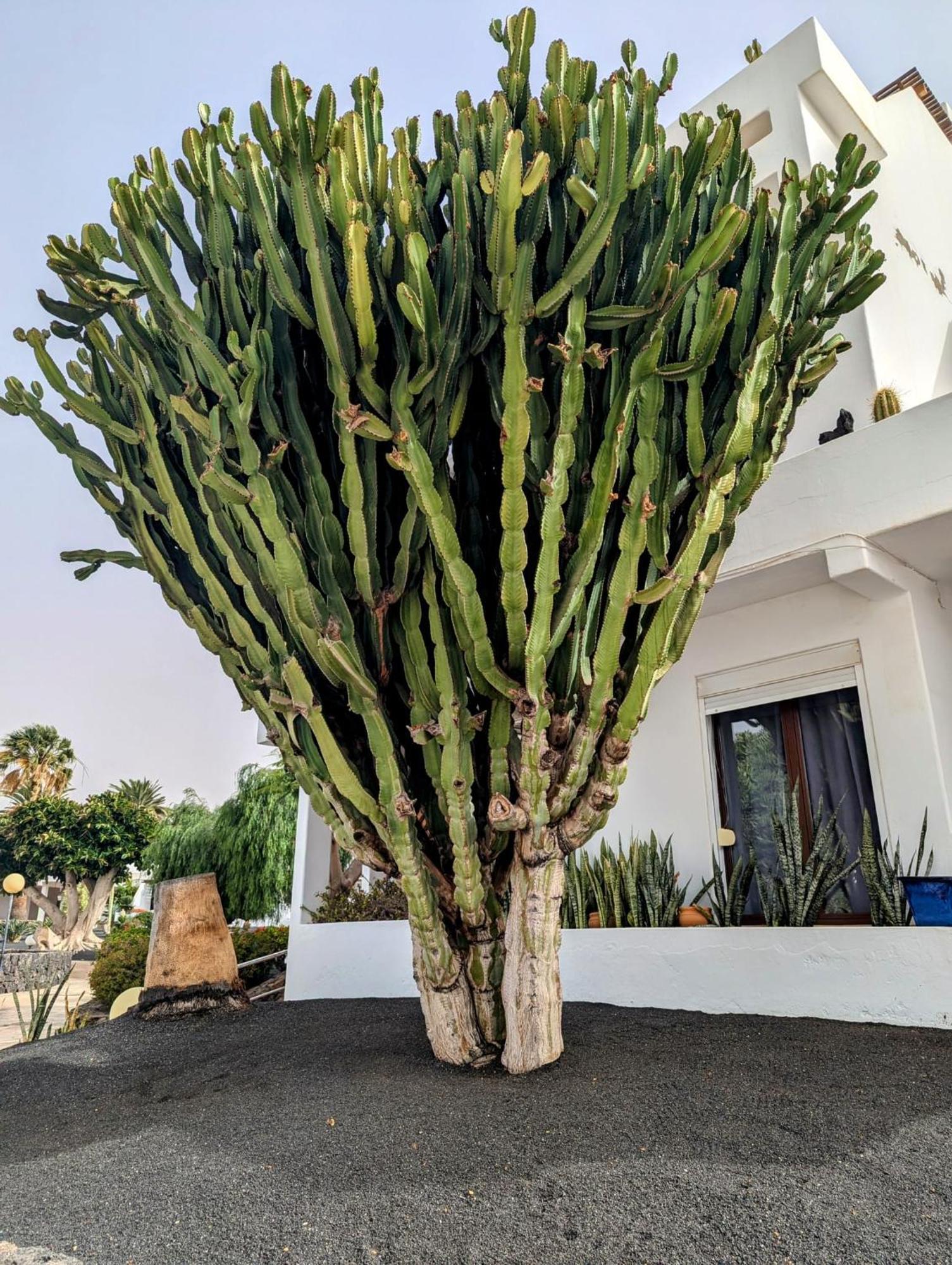 Charming Flat In Los Molinos With Terrace & Pools, Near Playa Bastian Costa Teguise Extérieur photo